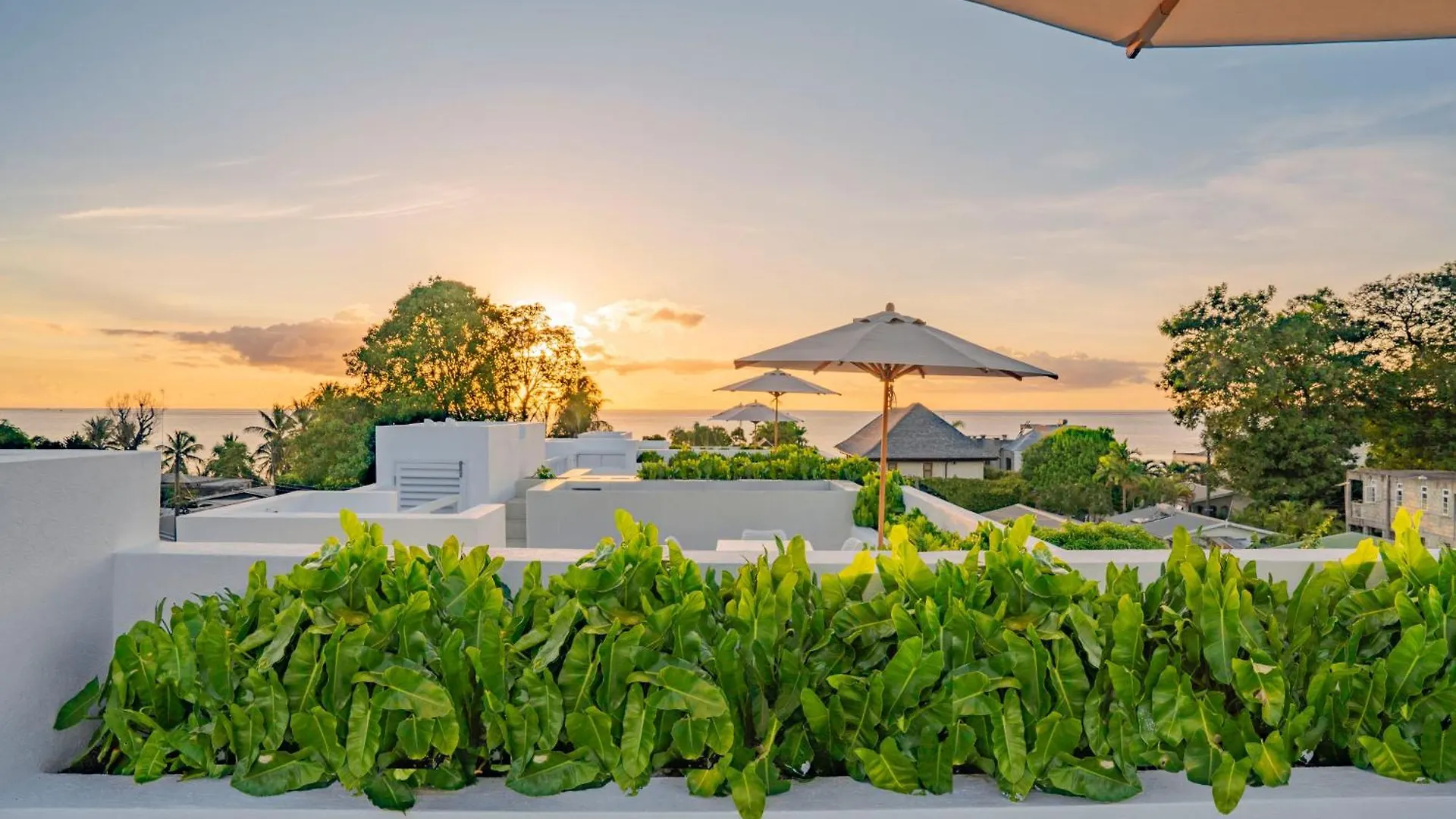 Villa Palm Grove Saint James